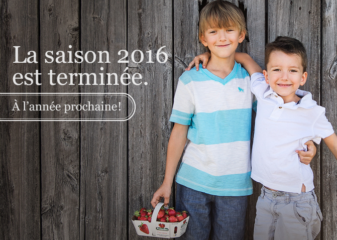 La saison Fraisebec 2016 est terminé.