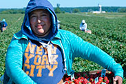 Strawberry picker with a basket