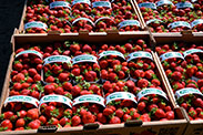 Strawberry baskets