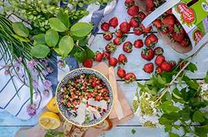 Bruschetta fraises, concombre et herbes